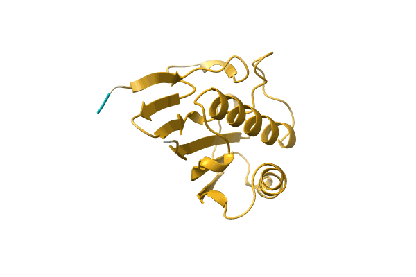 AF-A0A0Q0E550-F1 image