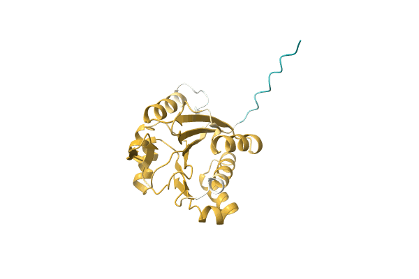 AF-A0A0Q1HGZ4-F1 image