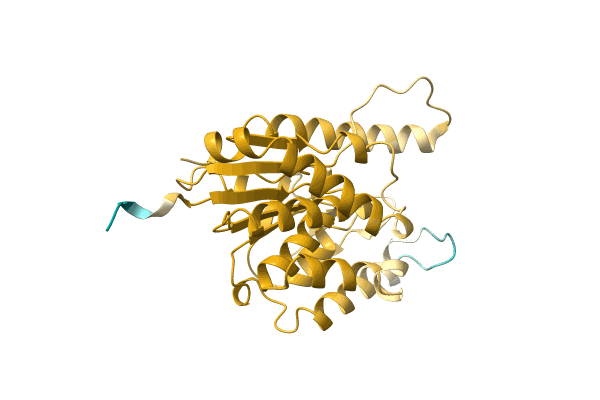 AF-A0A0Q1HH13-F1 image