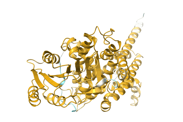 AF-A0A0Q5I2X2-F1 image