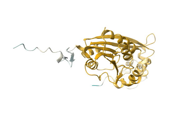 AF-A0A0Q5IJK9-F1 image