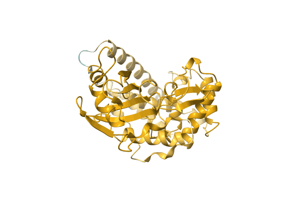 AF-A0A0Q5IKR4-F1 image