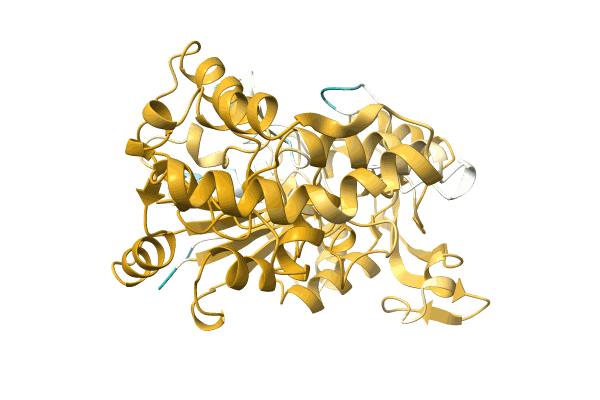 AF-A0A0Q5IKX7-F1 image