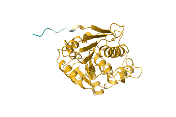 AF-A0A0Q5J0N2-F1 image