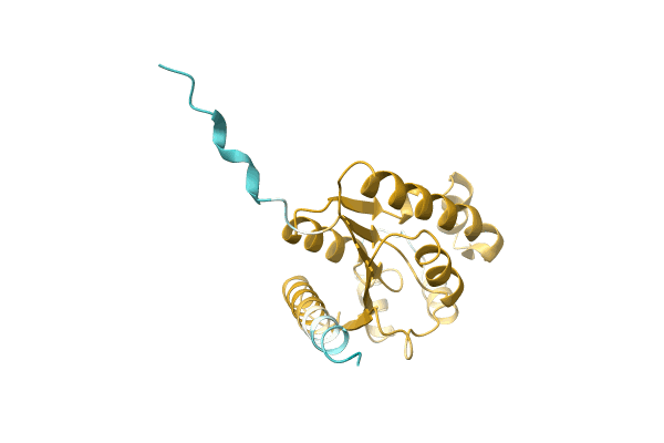 AF-A0A0Q5J0R3-F1 image