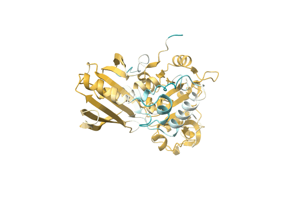 AF-A0A0Q5QDS7-F1 image