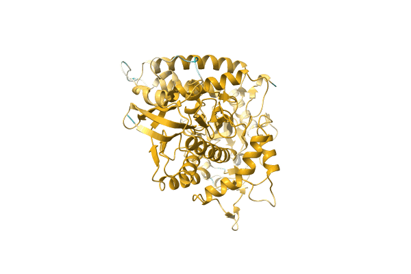 AF-A0A0Q5QDT1-F1 image