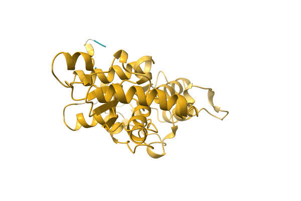 AF-A0A0Q5QDU5-F1 image