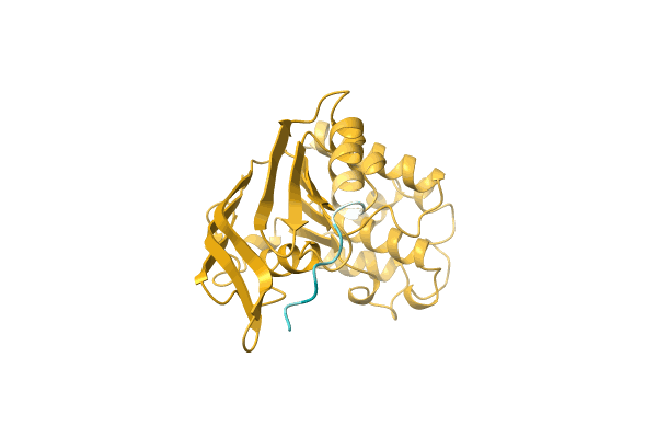 AF-A0A0Q5QDX6-F1 image