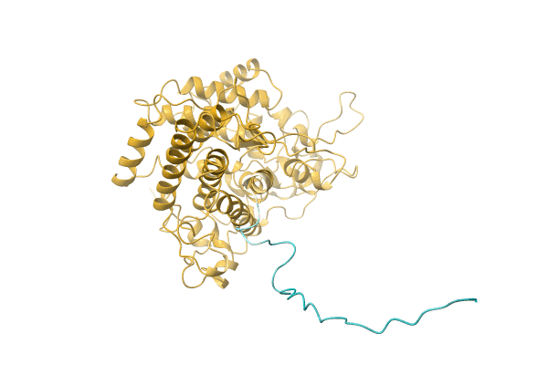 AF-A0A0Q5QDY2-F1 image