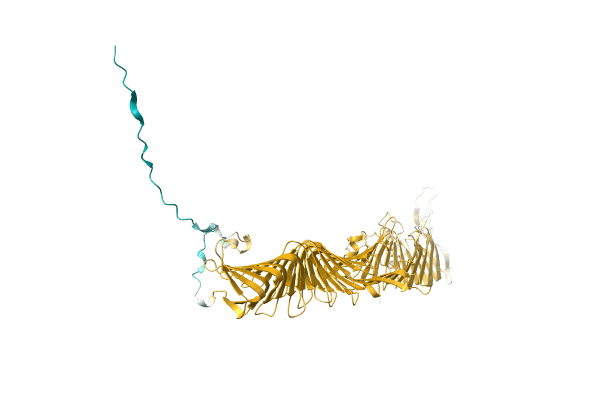 AF-A0A0Q5QE07-F1 image