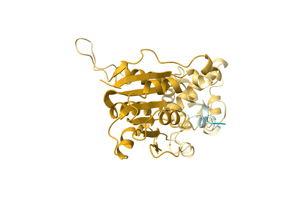 AF-A0A0Q5QE41-F1 image