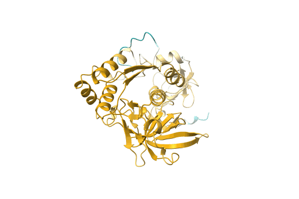 AF-A0A0Q5S579-F1 image