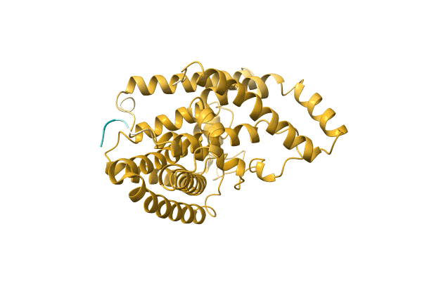 AF-A0A0Q5VBE5-F1 image