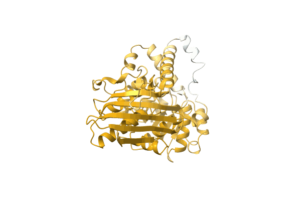 AF-A0A0Q5VBE9-F1 image