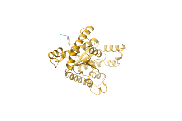 AF-A0A0Q5VBF7-F1 image