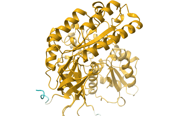 AF-A0A0Q5VCE7-F1 image