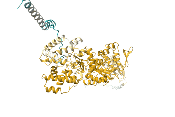 AF-A0A0Q5VCG8-F1 image