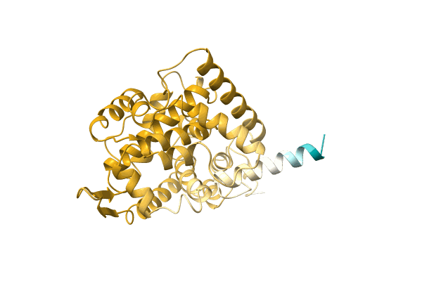 AF-A0A0Q5VID3-F1 image