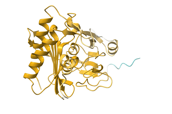 AF-A0A0Q6F447-F1 image