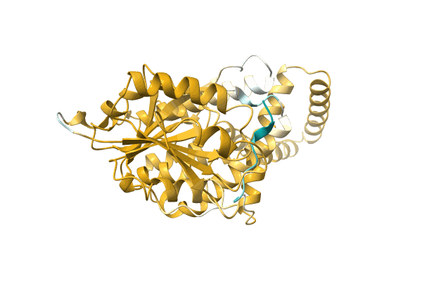 AF-A0A0Q6F451-F1 image