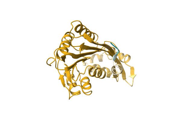 AF-A0A0Q6F4G6-F1 image