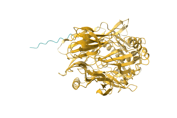 AF-A0A0Q6JVC5-F1 image