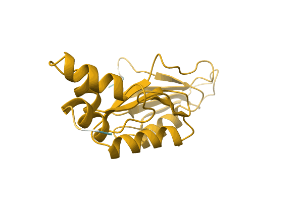 AF-A0A0Q6JVD1-F1 image