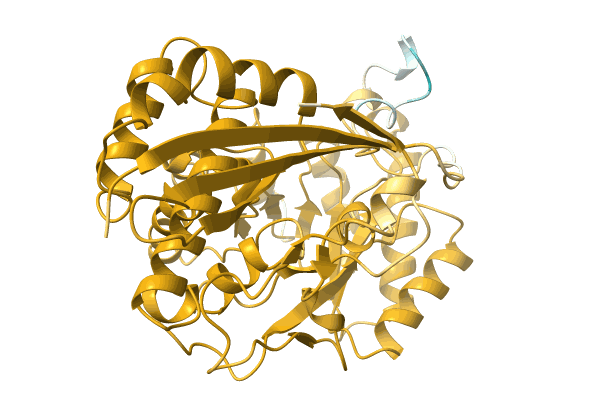 AF-A0A0Q6KEQ0-F1 image