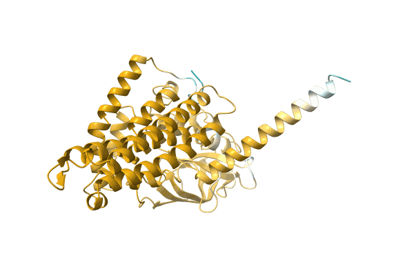 AF-A0A0Q6PQI4-F1 image