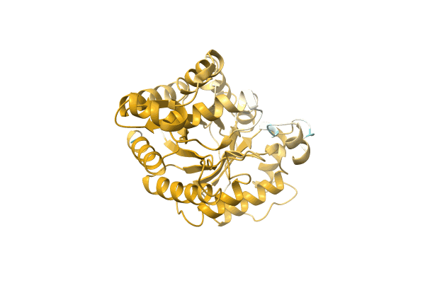 AF-A0A0Q6V9V0-F1 image