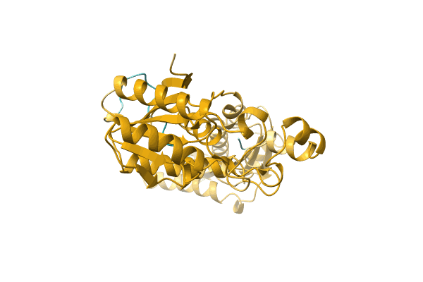 AF-A0A0Q6VTU2-F1 image