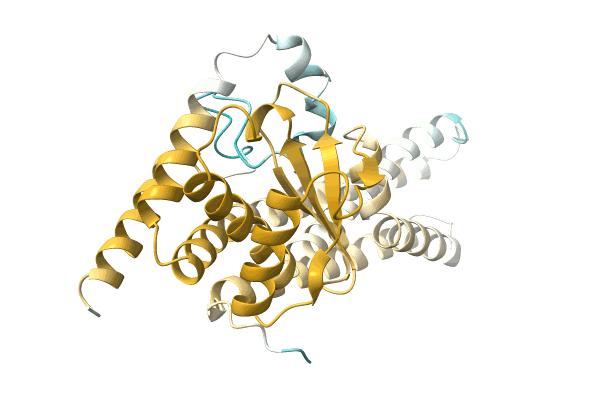 AF-A0A0Q6VTY7-F1 image