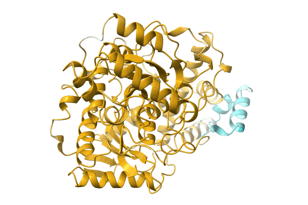 AF-A0A0Q6WTU8-F1 image