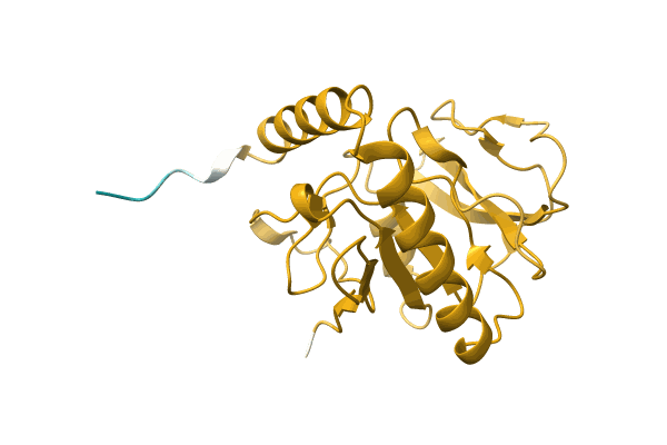 AF-A0A0Q6XEP4-F1 image