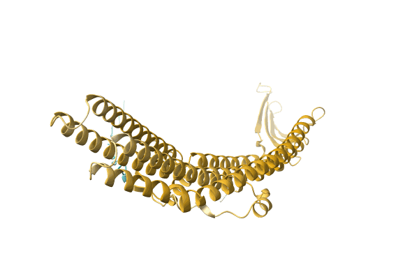 AF-A0A0Q6XEY8-F1 image