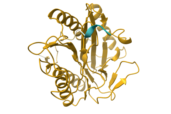 AF-A0A0Q6XF62-F1 image