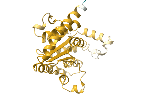 AF-A0A0Q7T5P5-F1 image