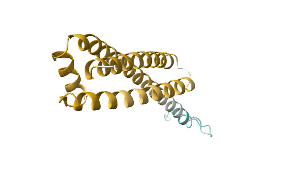 AF-A0A0Q8B9B2-F1 image