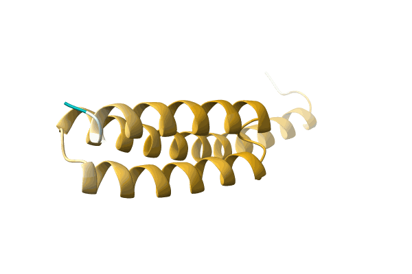 AF-A0A0Q8LZG9-F1 image