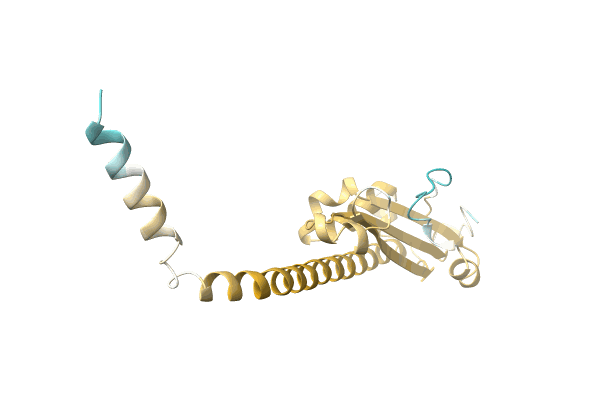 AF-A0A0Q8LZM4-F1 image