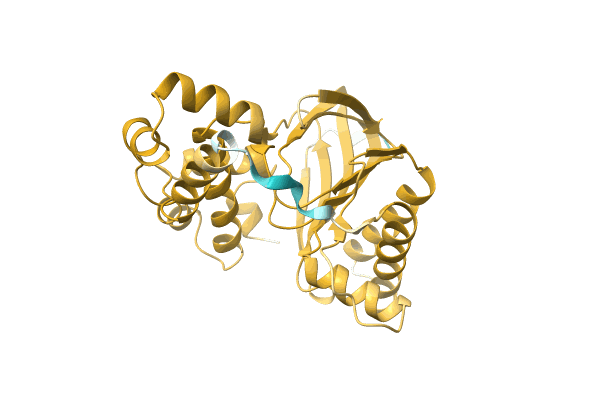 AF-A0A0Q8MM15-F1 image