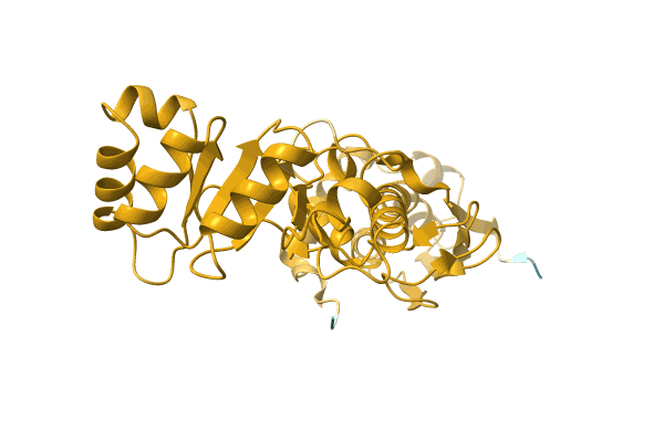 AF-A0A0Q8MPI0-F1 image