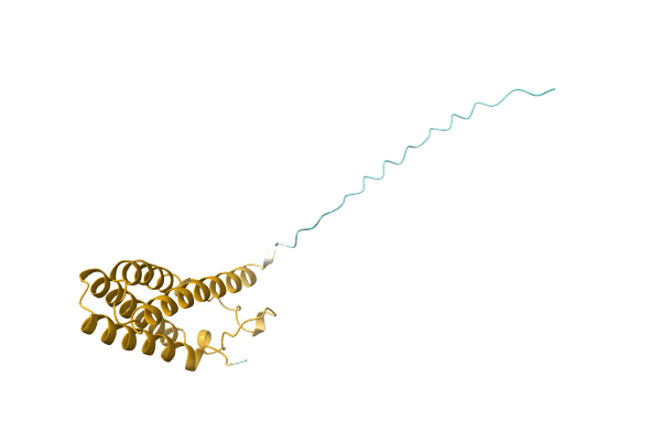 AF-A0A0Q8MTQ1-F1 image