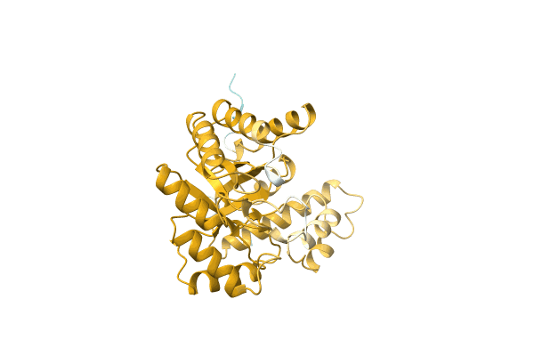 AF-A0A0Q8MU95-F1 image