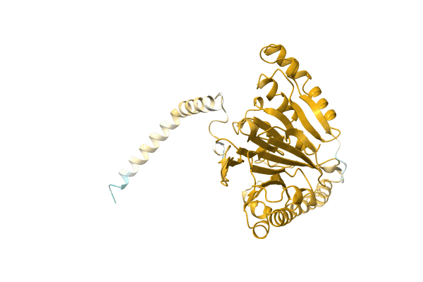 AF-A0A0Q8MUX1-F1 image