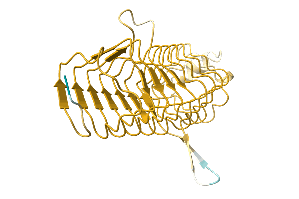 AF-A0A0Q8MXX6-F1 image