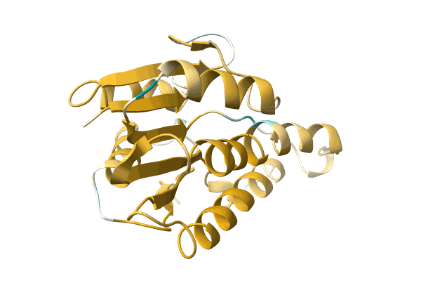 AF-A0A0Q8MXX8-F1 image