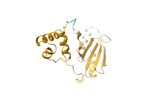 AF-A0A0Q8MZW8-F1 image