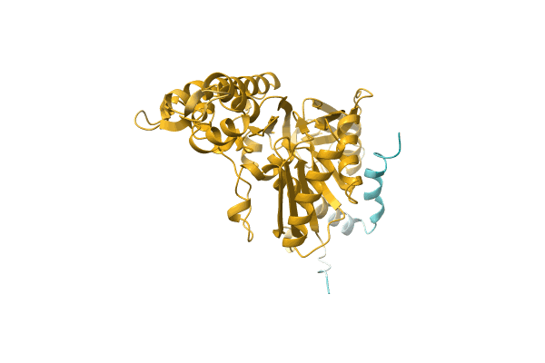 AF-A0A0Q8WRW7-F1 image